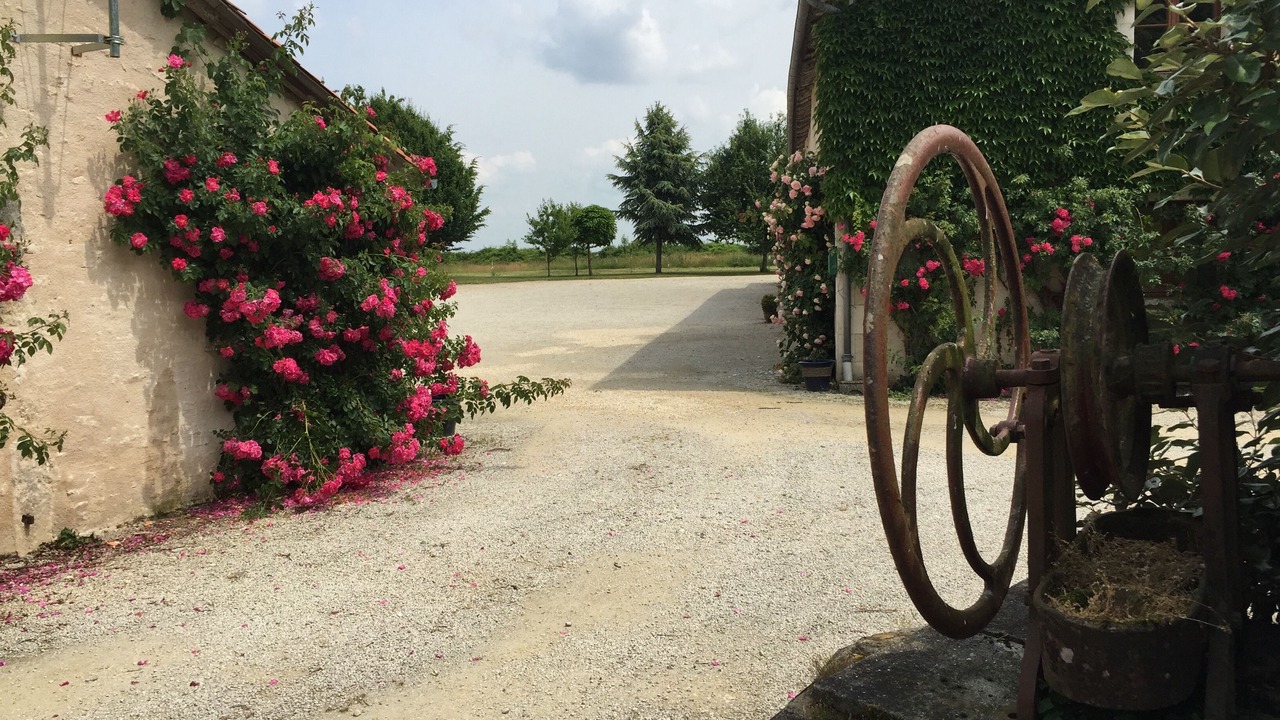 Photo of Outdoor in Usson-du-Poitou