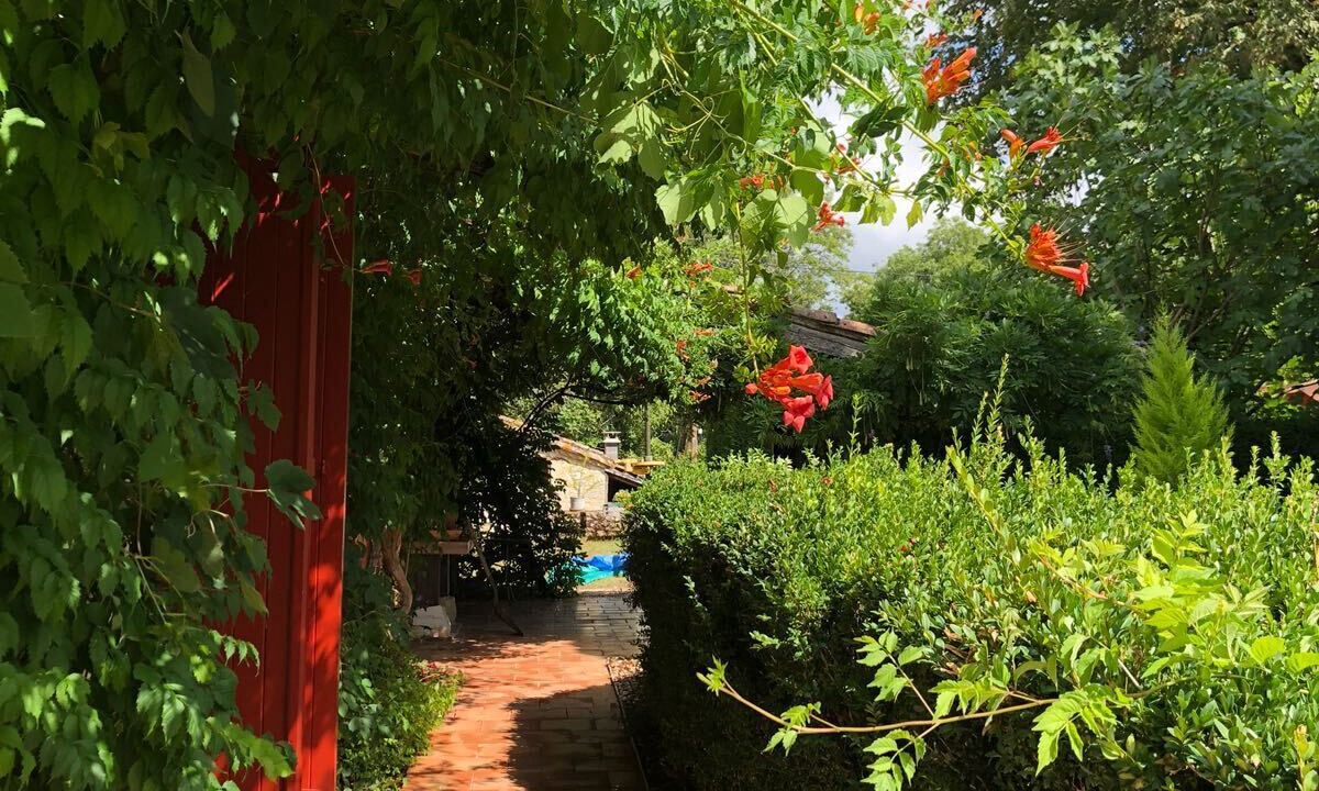 Photo of Outdoor in Queyssel