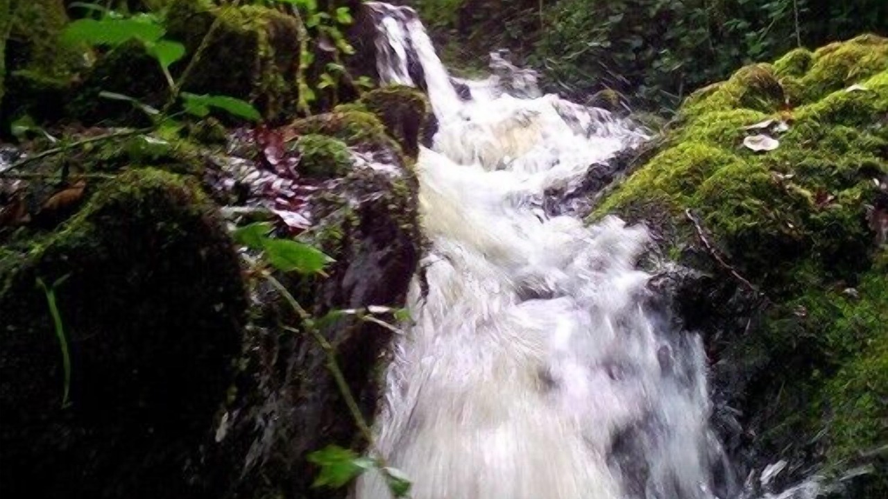 Photo of Outdoor in Saint-Mathieu