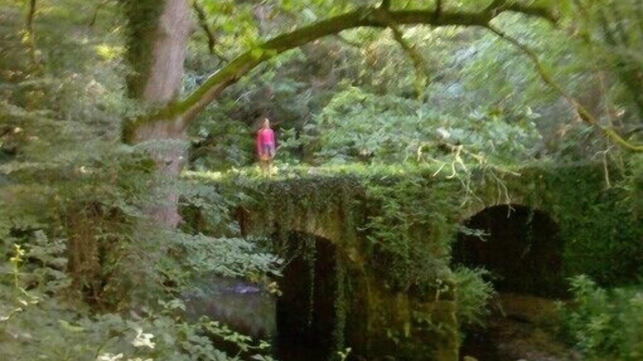 Photo of Outdoor in Saint-Mathieu