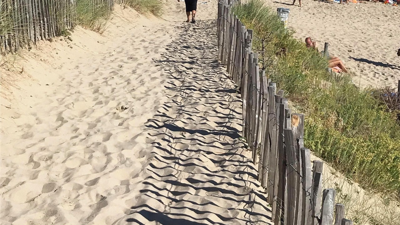 Photo of Others in Le Bois-Plage-en-Re