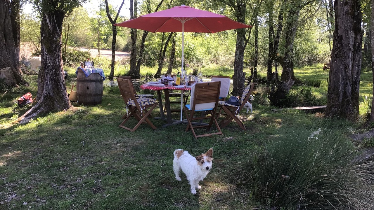Photo of Outdoor in Saint-Jean-de-Duras