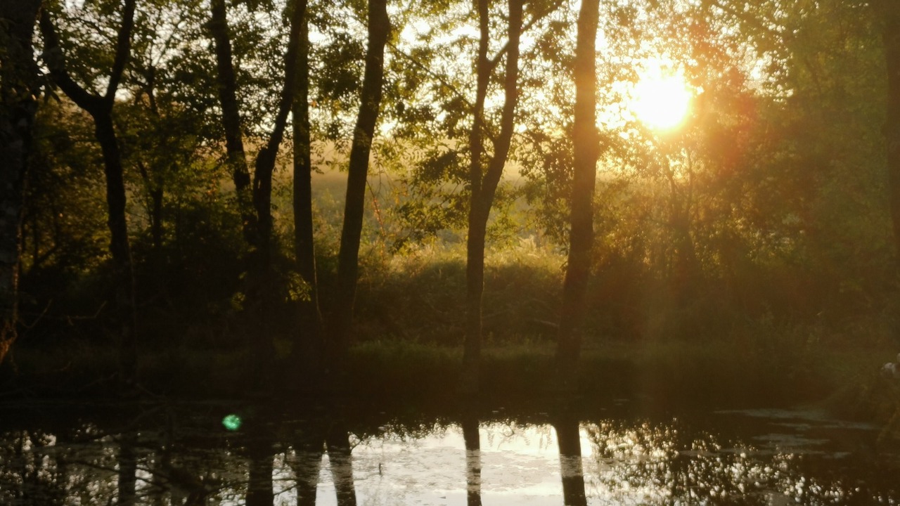 Photo of Others in Saint-Jean-de-Duras