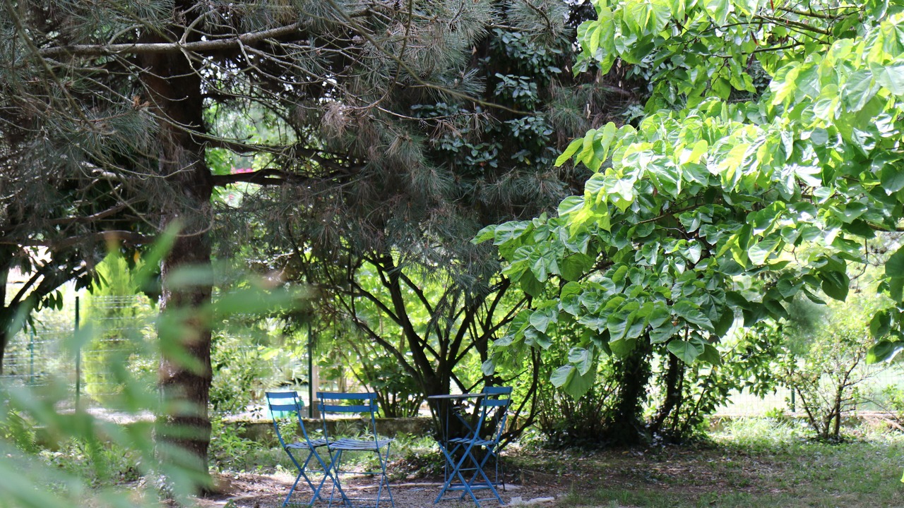 Photo of Outdoor in Meschers-sur-Gironde