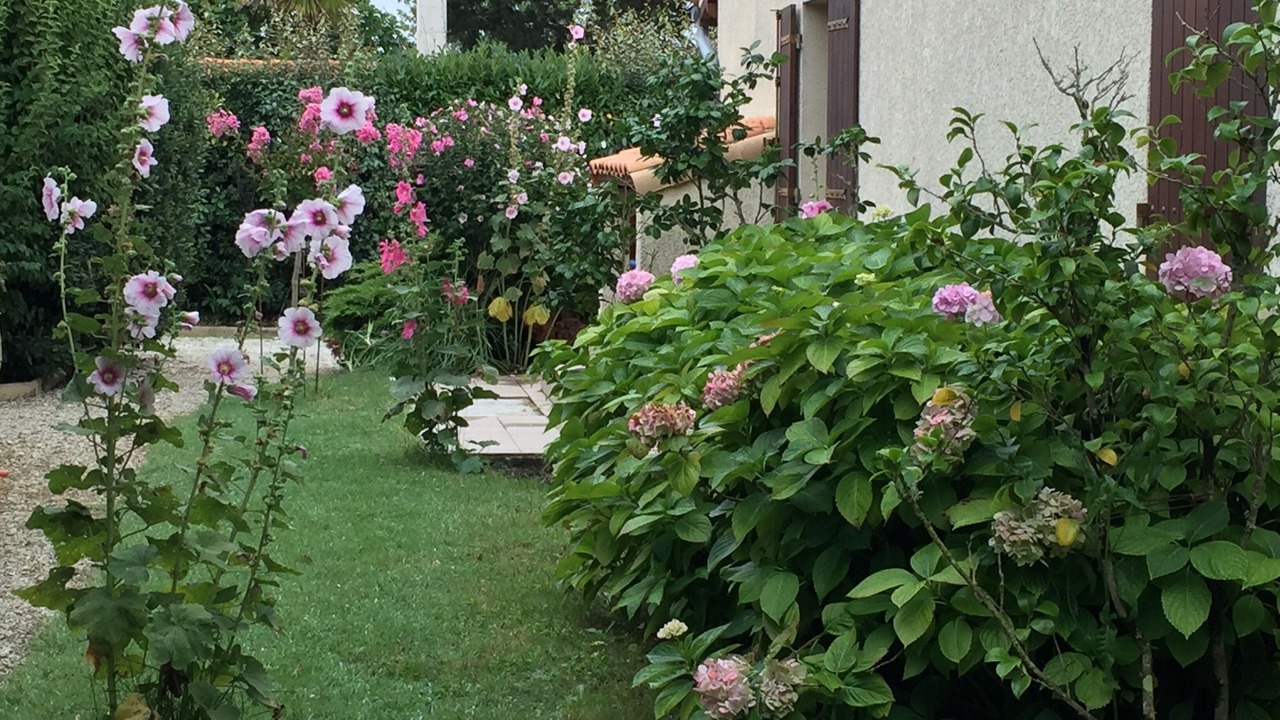 Photo of Outdoor in Meschers-sur-Gironde