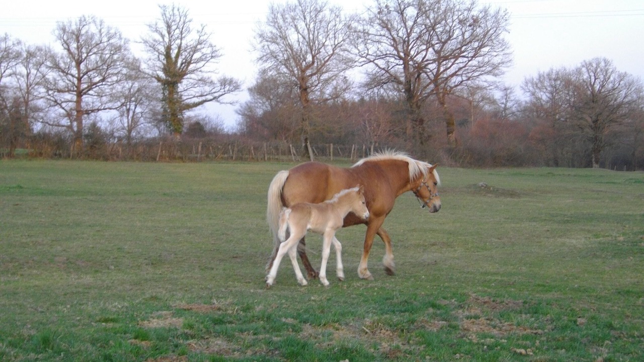 Photo of Outdoor in Soumans