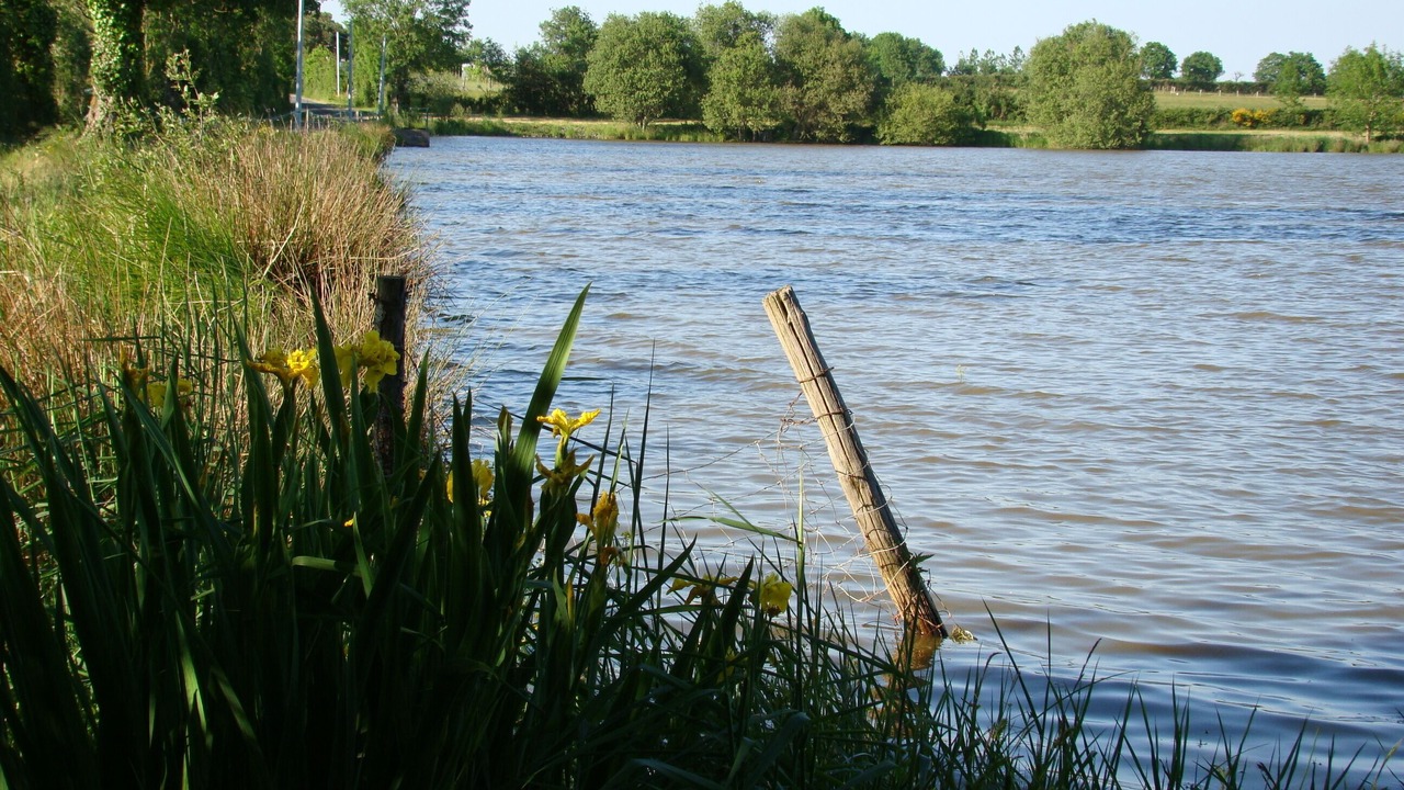 Photo of Outdoor in Bressuire