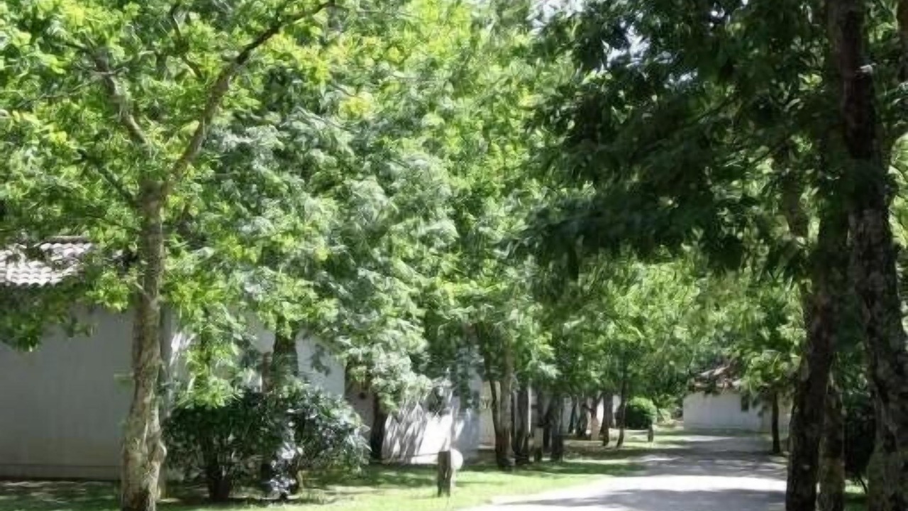 Photo of Outdoor in Ares
