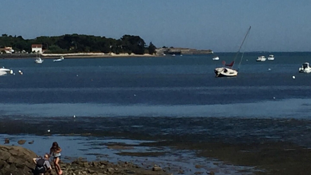 Photo of Others in Rivedoux-Plage