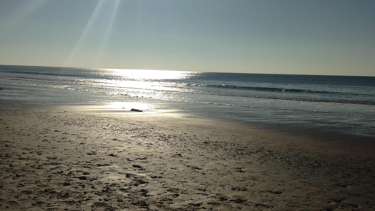 Photo of Others in Le Grand-Village-Plage
