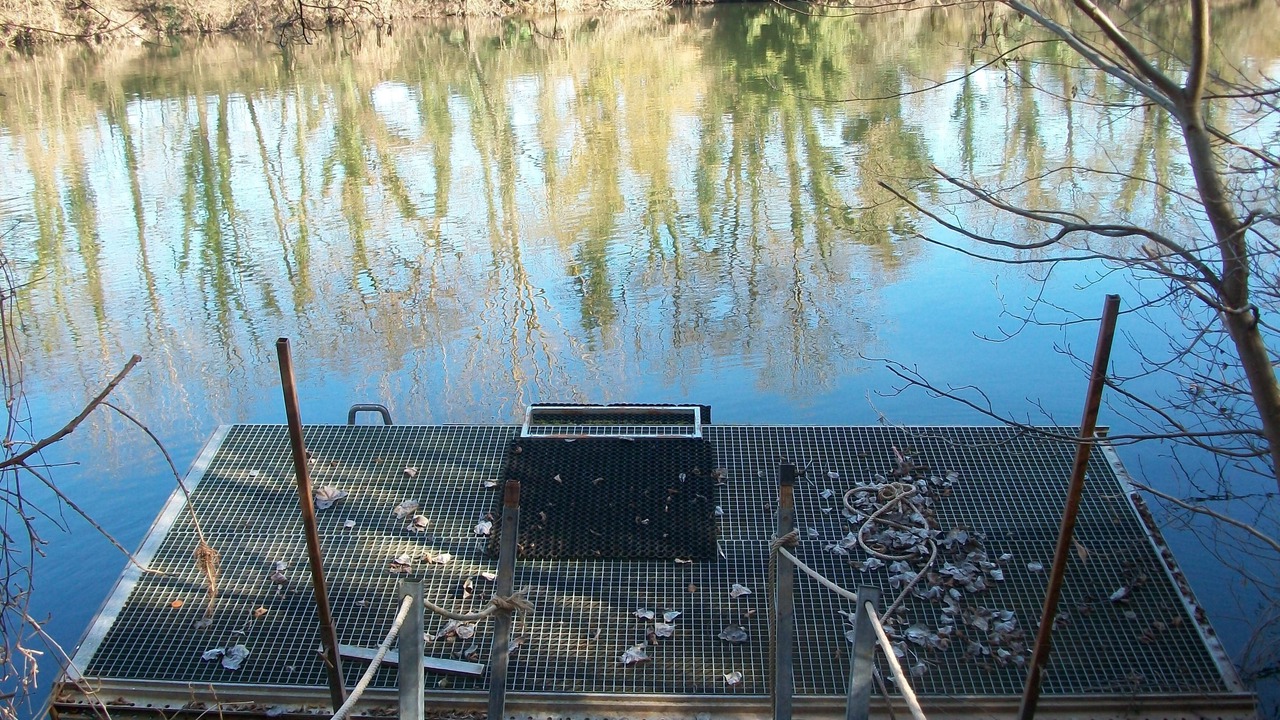 Photo of Outdoor in Trentels