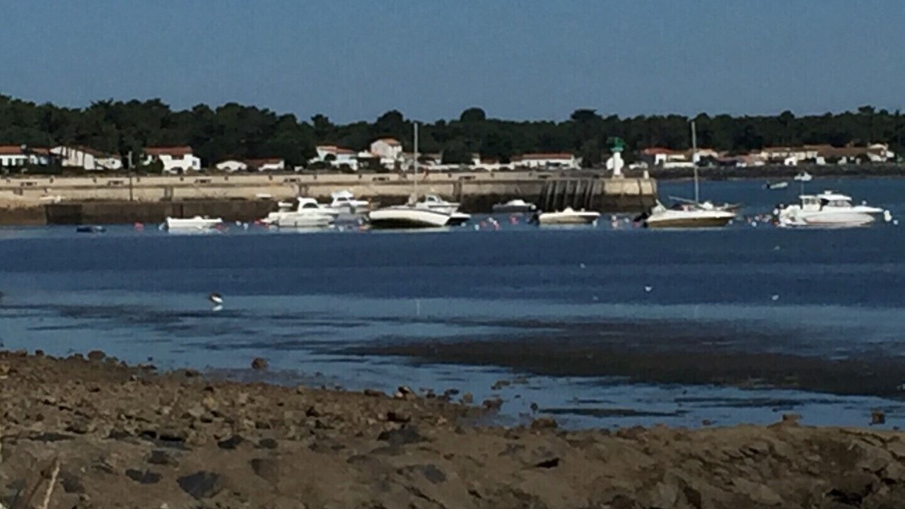 Photo of Others in Rivedoux-Plage