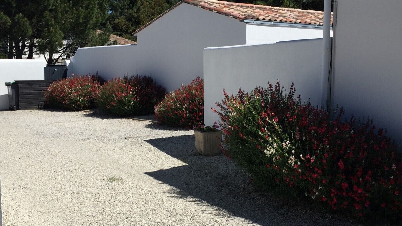 Photo of Outdoor in Rivedoux-Plage