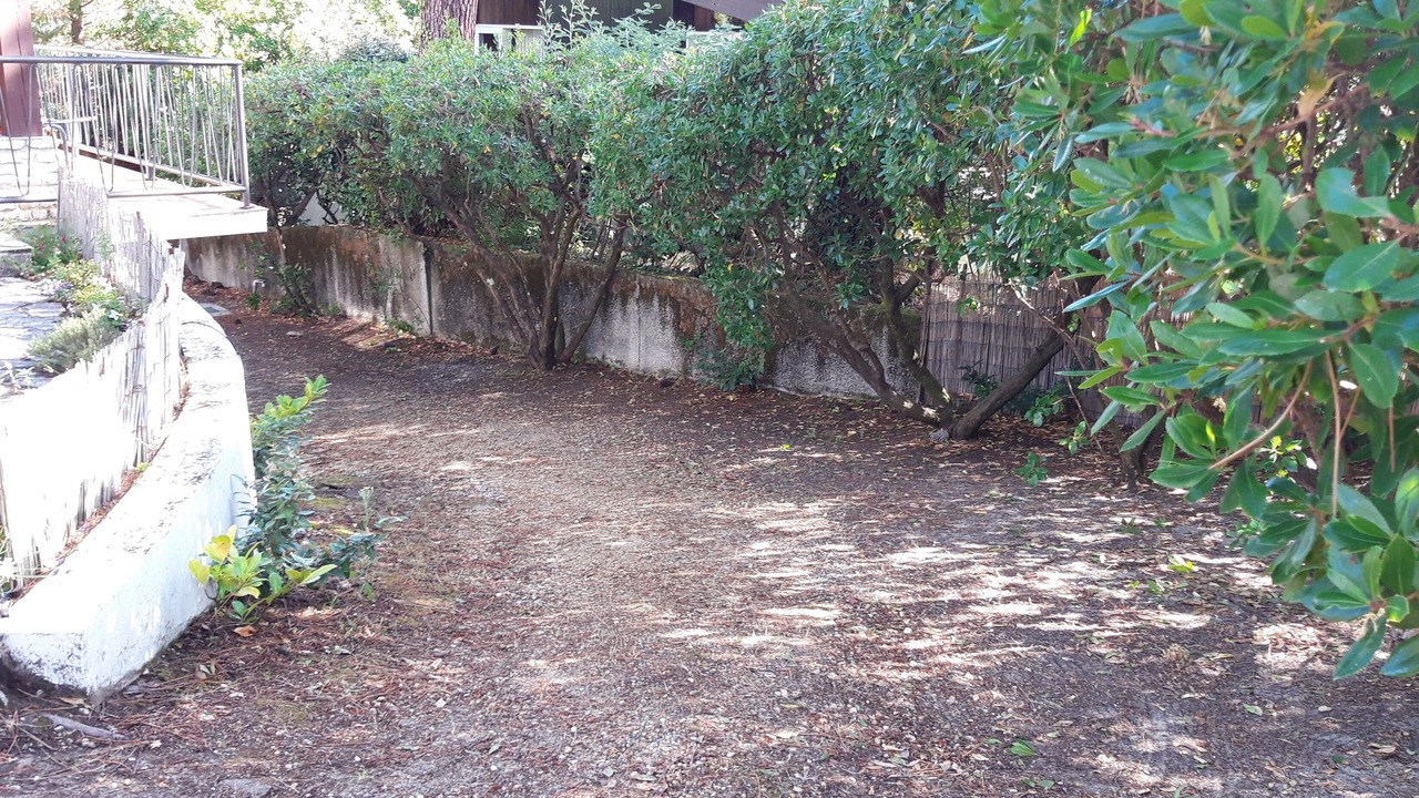 Photo of Outdoor in Lege-Cap-Ferret
