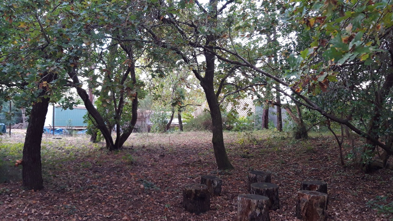 Photo of Outdoor in Lege-Cap-Ferret