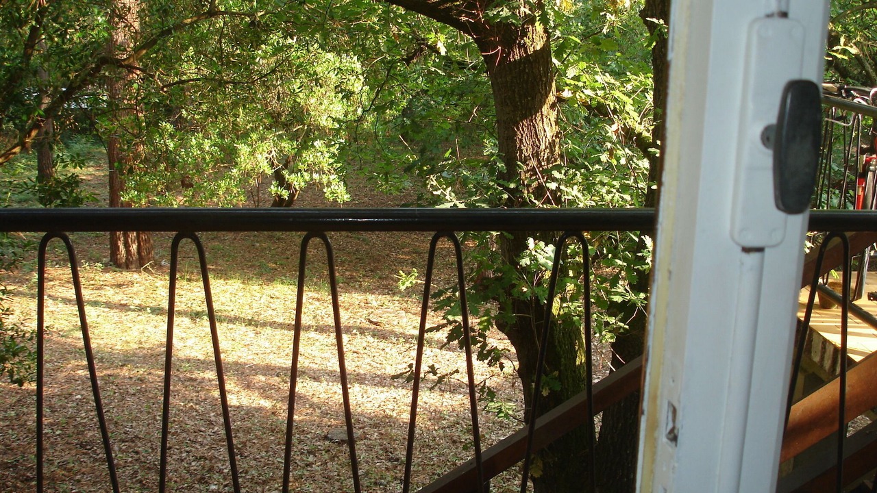 Photo of Outdoor in Lege-Cap-Ferret