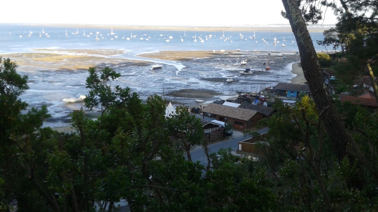 Photo of Outdoor in Lege-Cap-Ferret