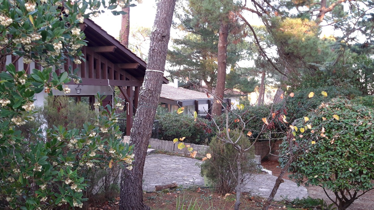 Photo of Outdoor in Lege-Cap-Ferret