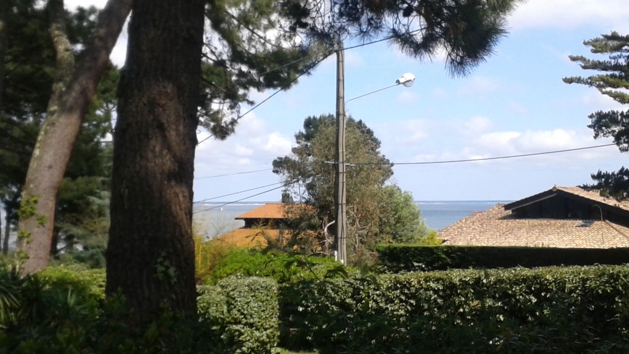 Photo of Outdoor in Lege-Cap-Ferret