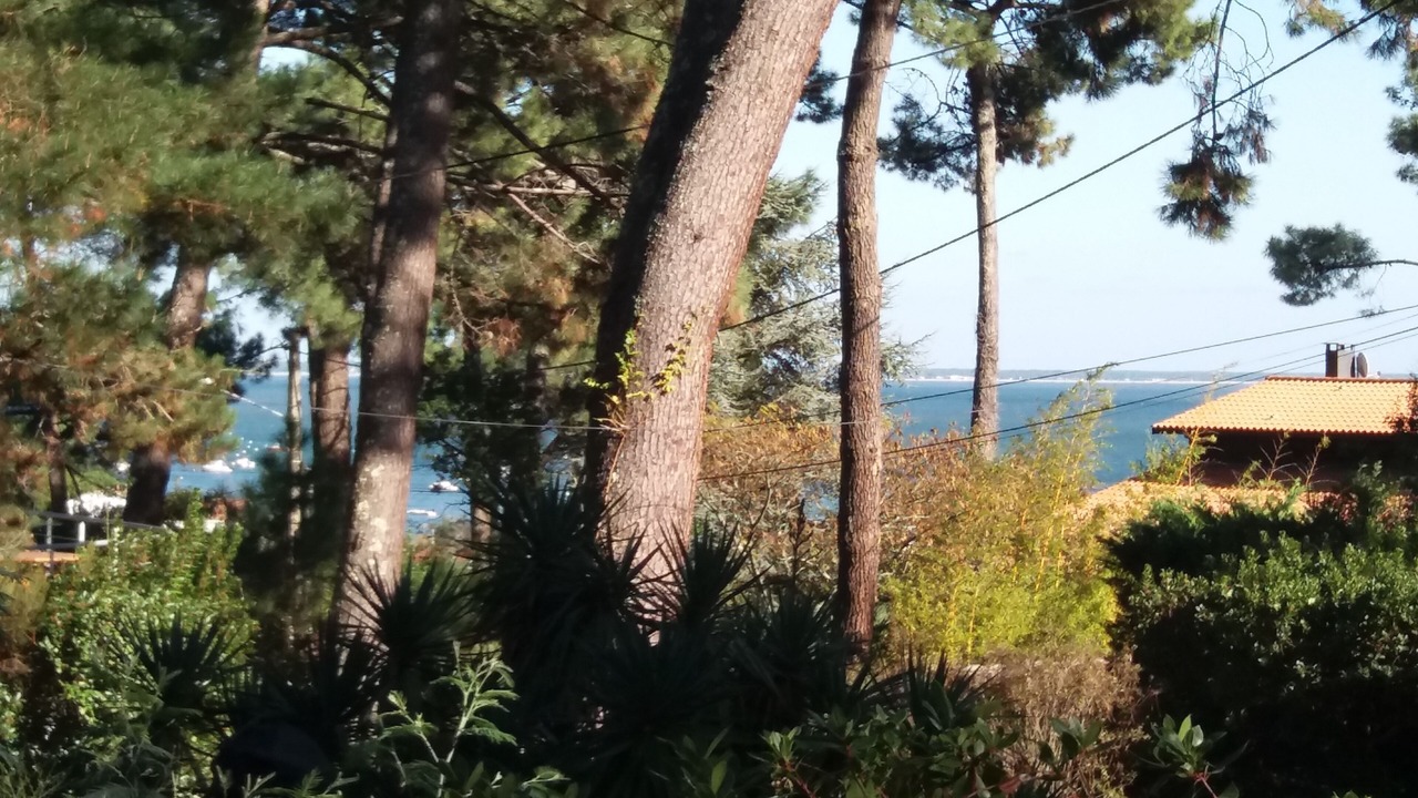 Photo of Outdoor in Lege-Cap-Ferret