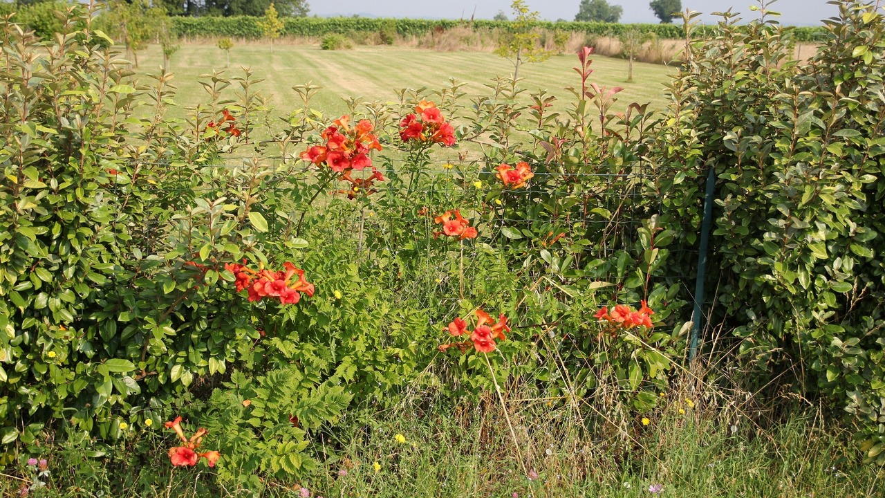 Photo of Outdoor in Leoville