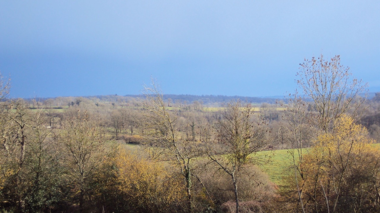 Photo of Others in Bussiere-Poitevine