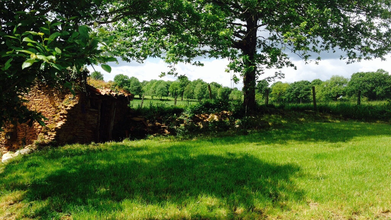 Photo of Outdoor in Bussiere-Poitevine