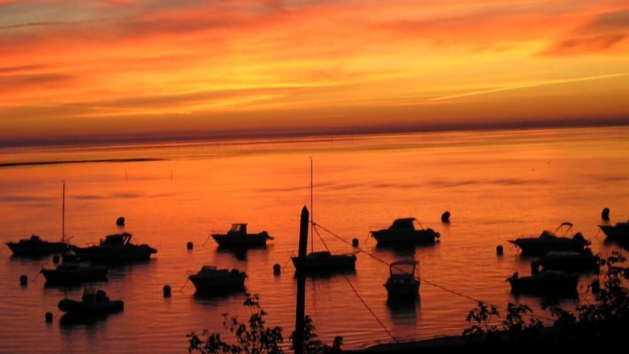 Photo of Others in Arcachon