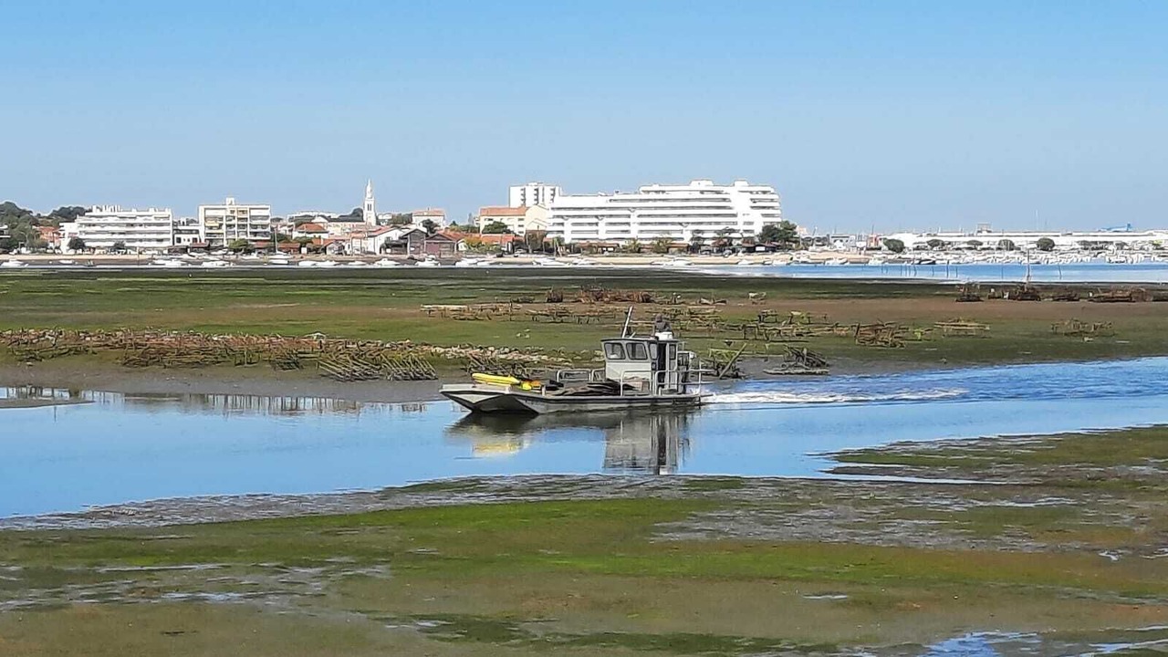 Photo of Others in Arcachon