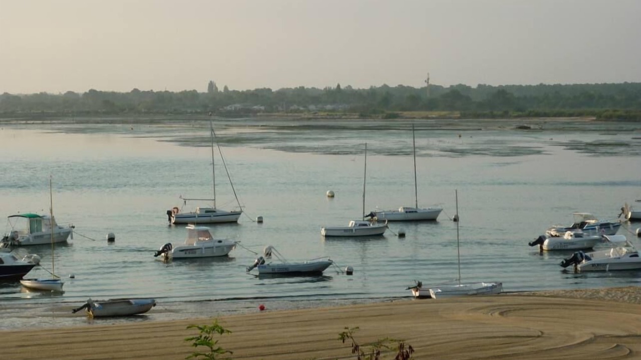Photo of Others in Arcachon