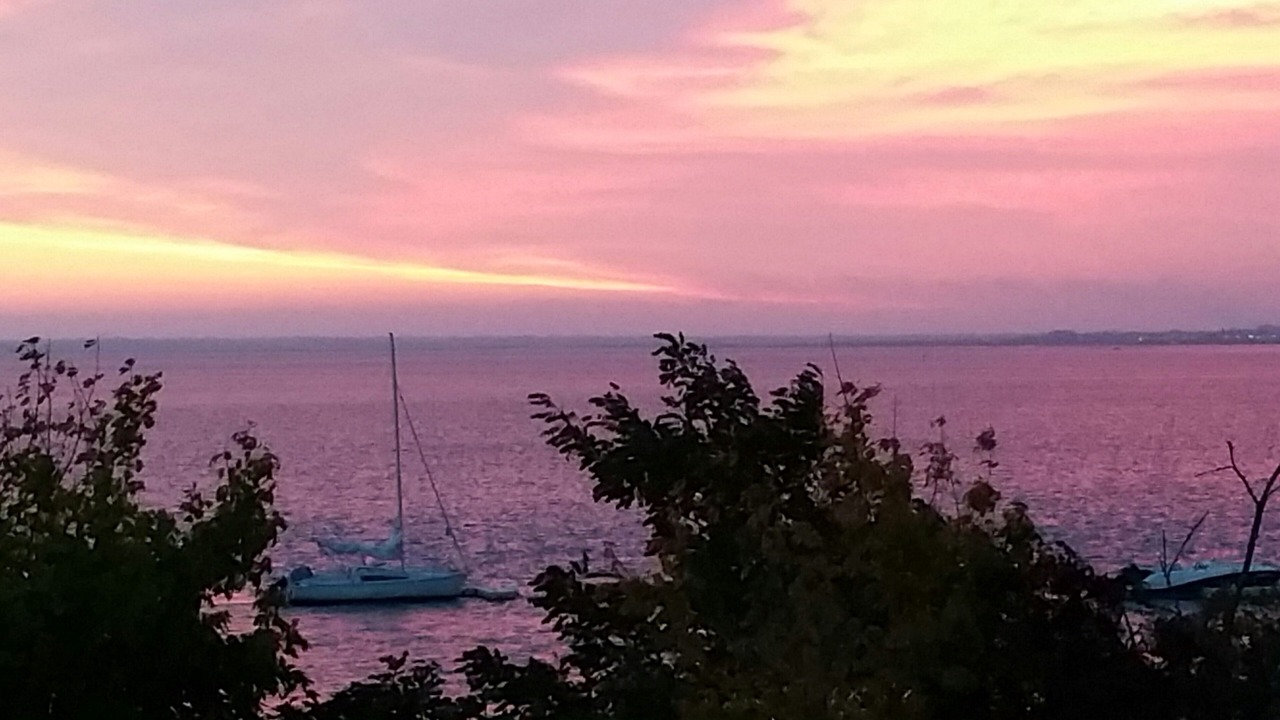 Photo of Others in Arcachon