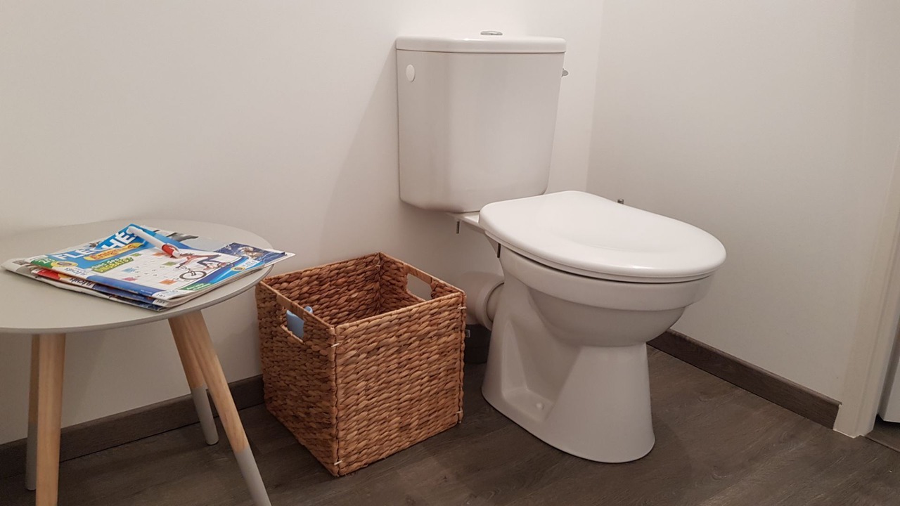 Photo of Bathroom in Castet
