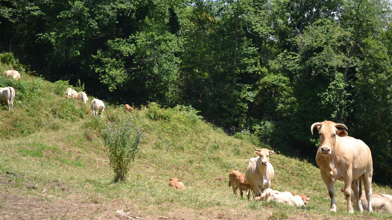 Photo of Outdoor in Castet