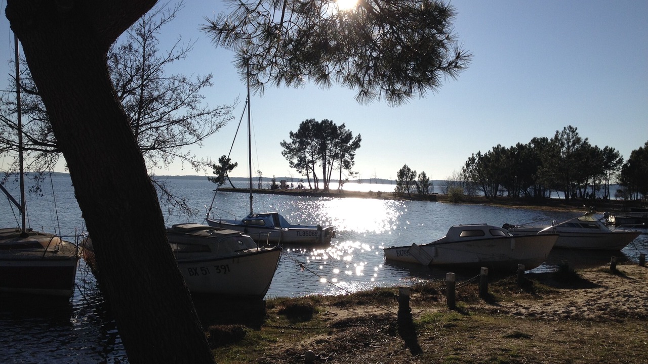 Photo of Others in Lacanau-Ocean