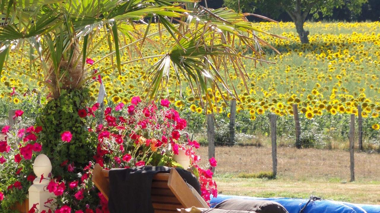 Photo of Outdoor in Varzay