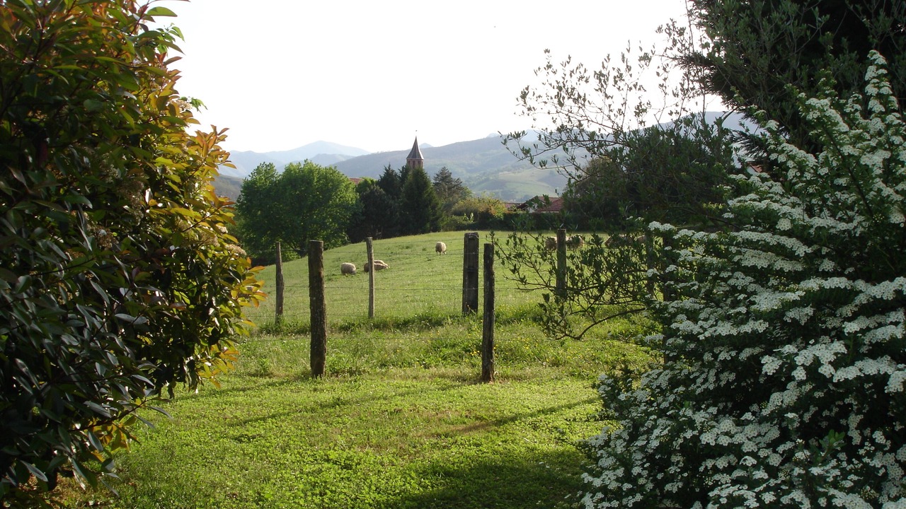 Photo of Outdoor in Osses