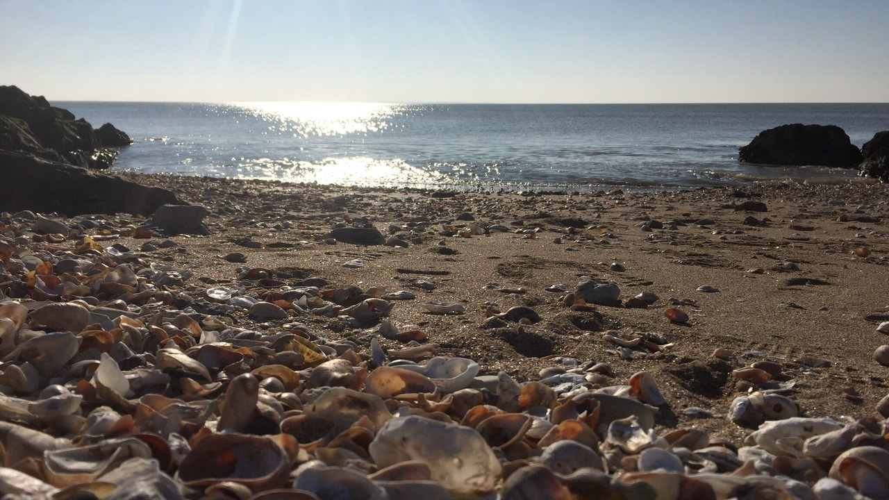 Photo of Others in La Rochelle