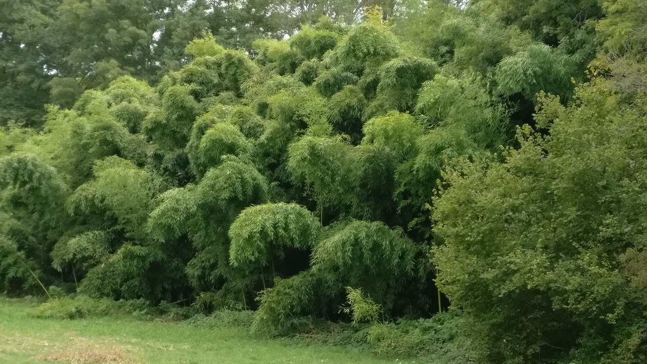 Photo of Outdoor in Saint-Marcel-du-Perigord