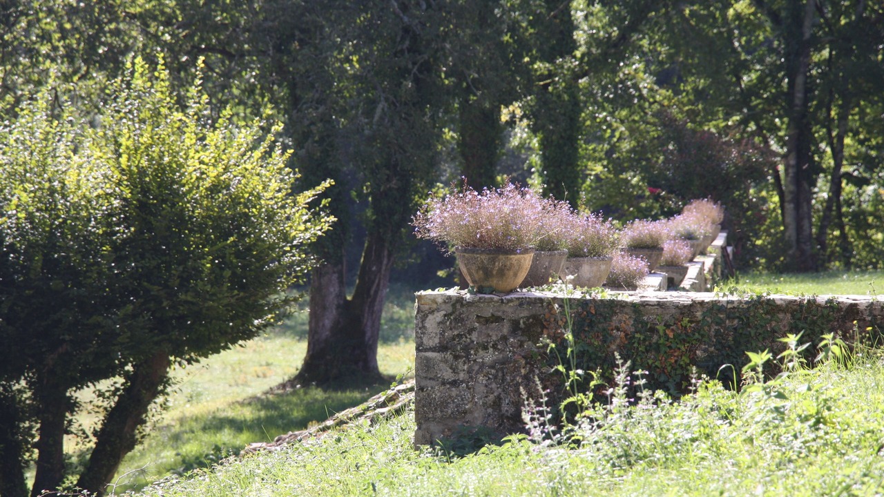 Photo of Outdoor in Saint-Marcel-du-Perigord