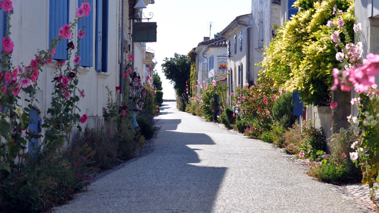 Photo of Outdoor in Saint-Fort-sur-Gironde