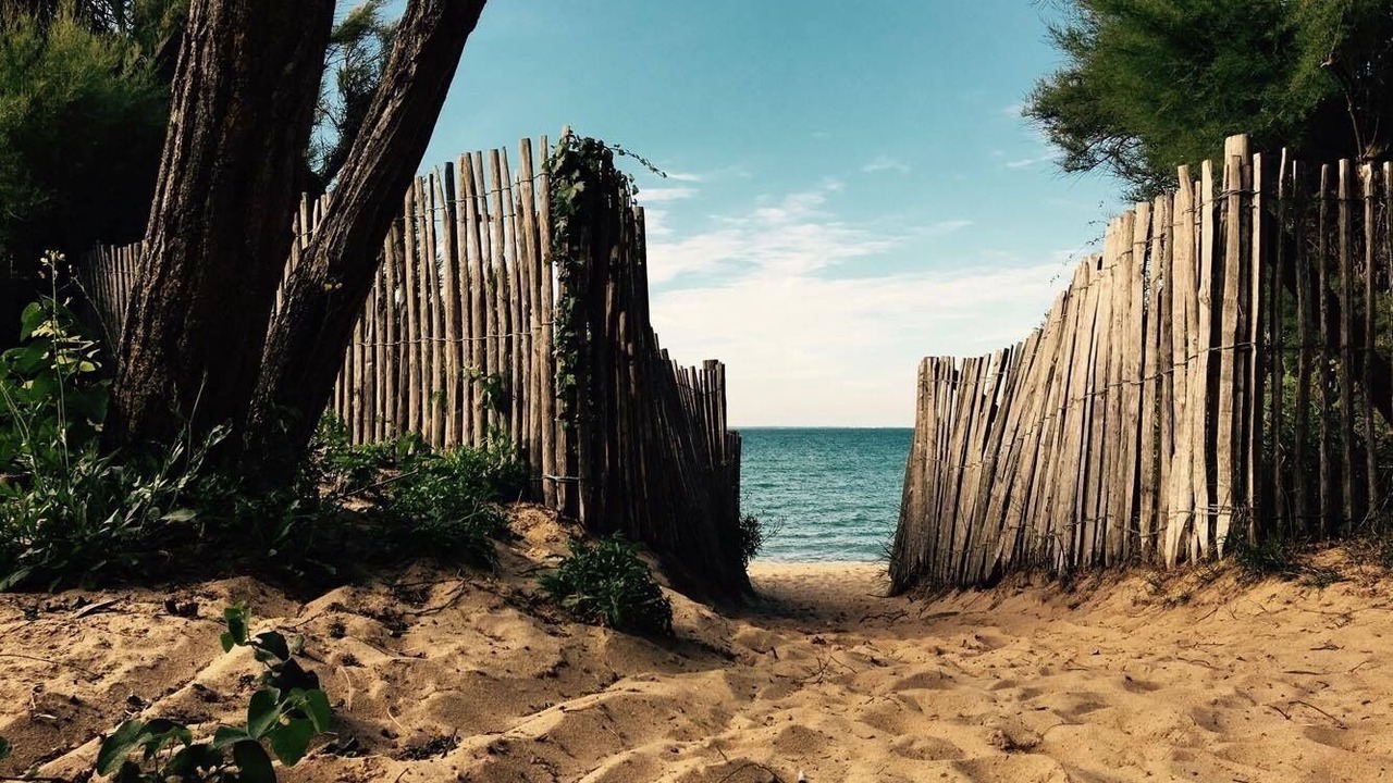 Photo of Others in Saint-Fort-sur-Gironde