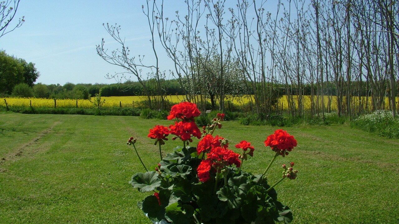 Photo of Outdoor in Val de Charente