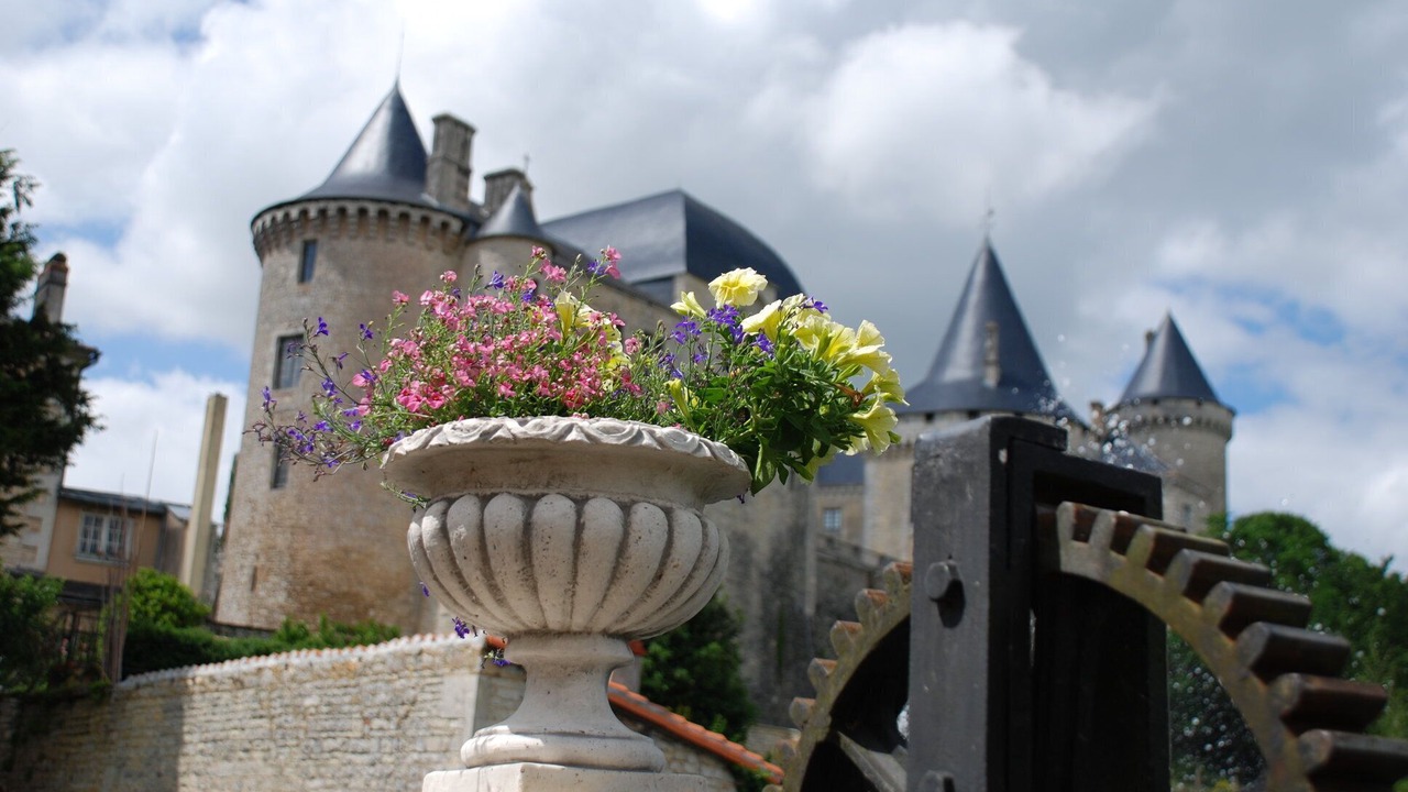 Photo of Outdoor in Val de Charente