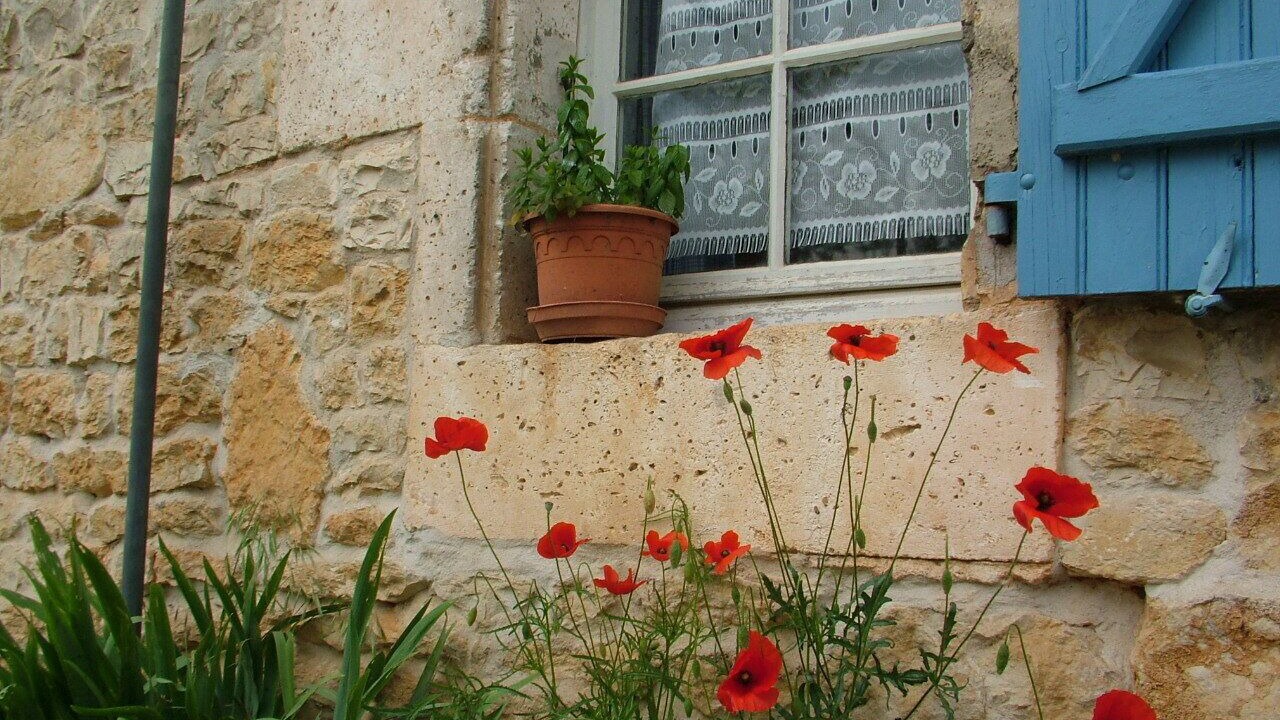 Photo of Outdoor in Val de Charente
