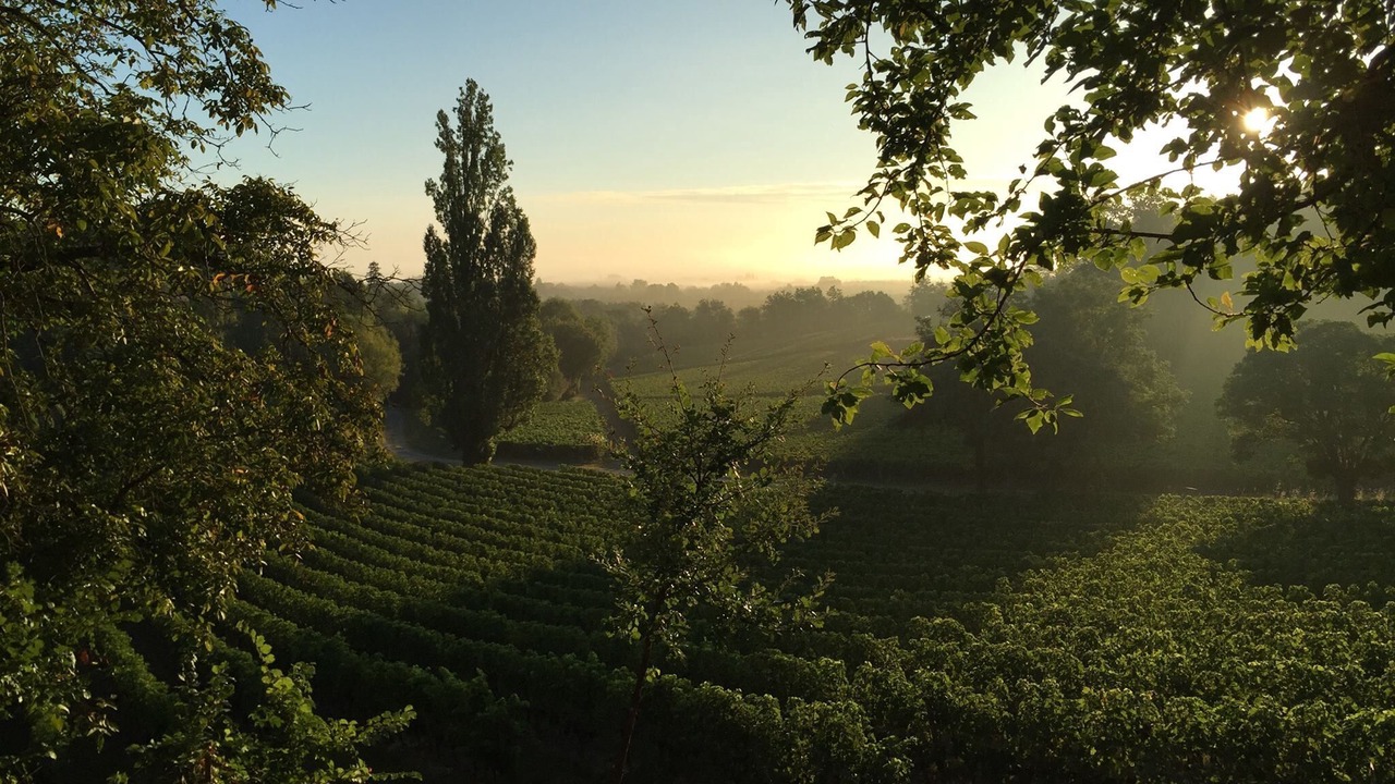 Photo of Outdoor in Fronsac