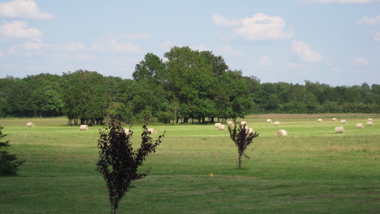 Photo of Others in Lorignac