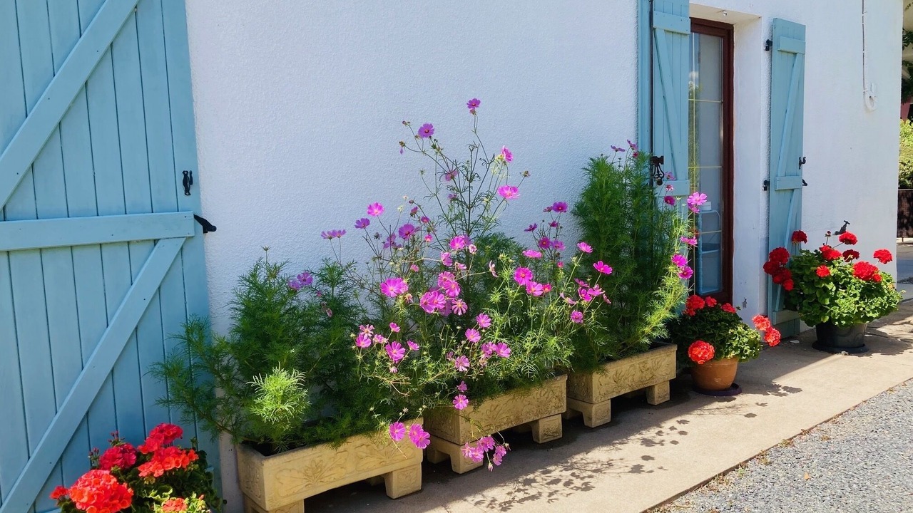 Photo of Outdoor in La Chapelle-Saint-Etienne