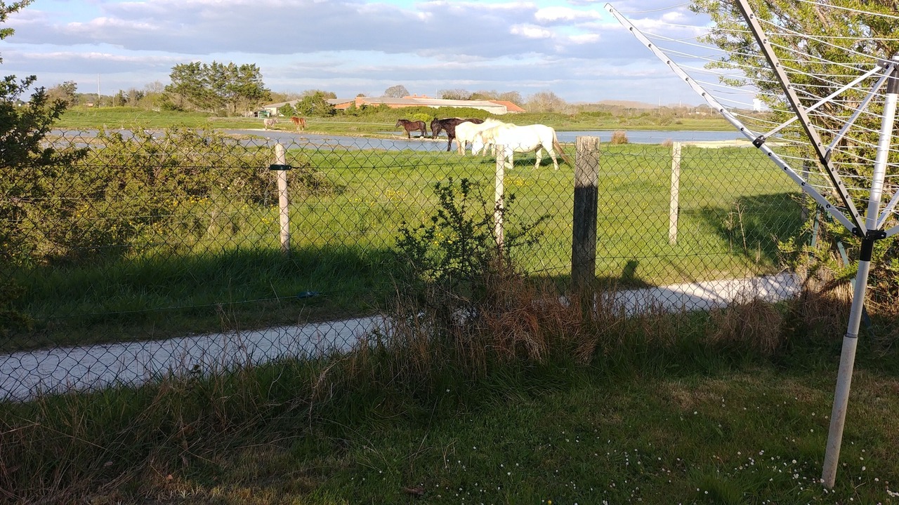 Photo of Outdoor in Bourcefranc-le-Chapus