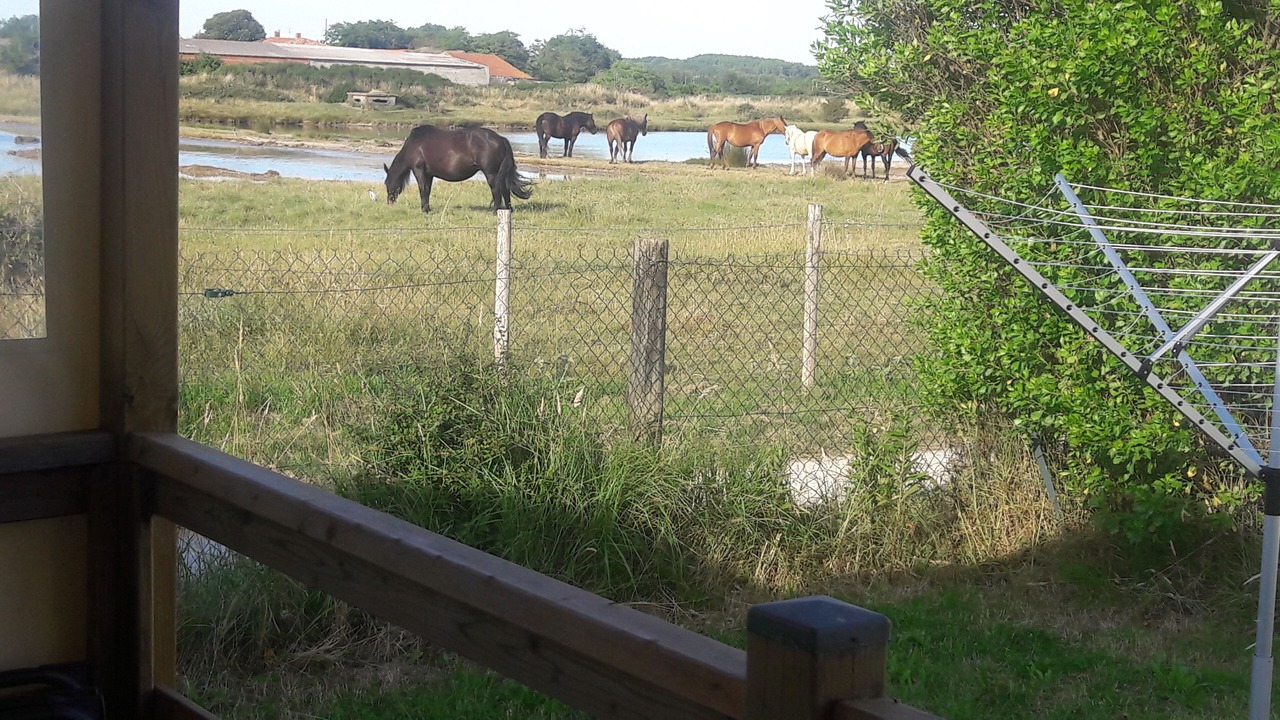 Photo of Others in Bourcefranc-le-Chapus
