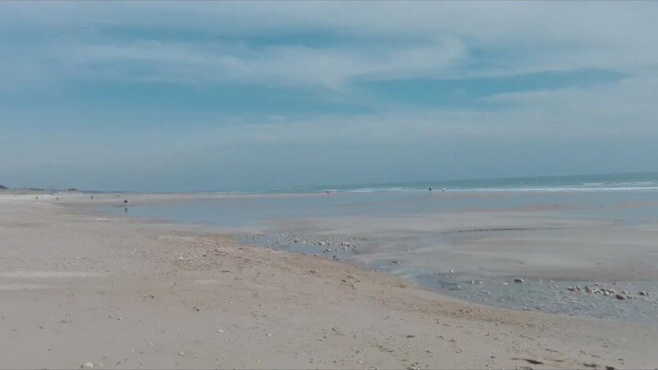 Photo of Others in Le Bois-Plage-en-Re